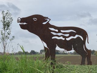 AC22 - Marcassin tête levée